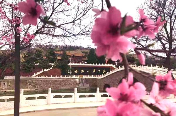 4月27日 欢迎来古县“逛”牡丹节！