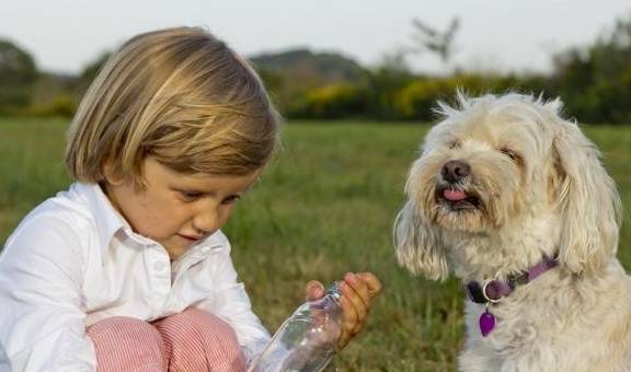 狗狗是身体脱水了吗 可以从这6个症状看出 情况严重恐会丧命 水分