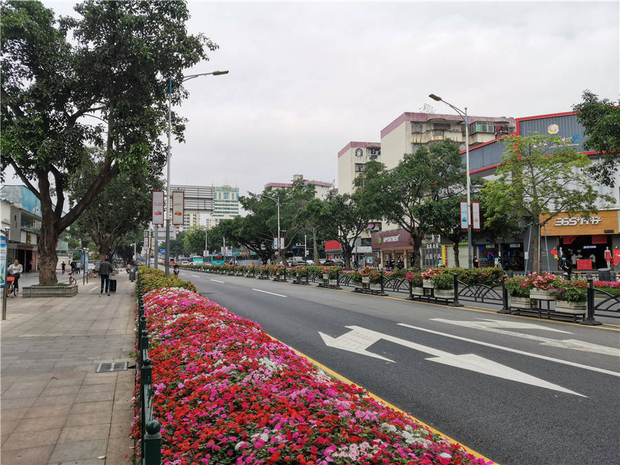 深圳龙华街区新靓点：人民路颜值爆表，鲜花点缀整条道
