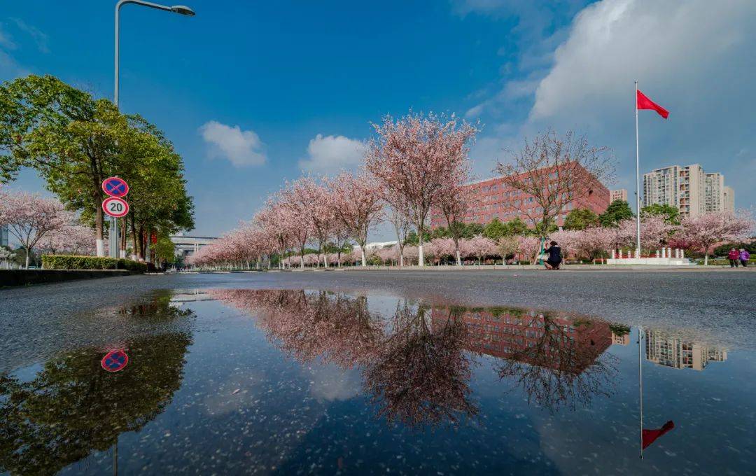 高起點高規格西南交通大學智慧城市與交通學院開啟全球引才通道