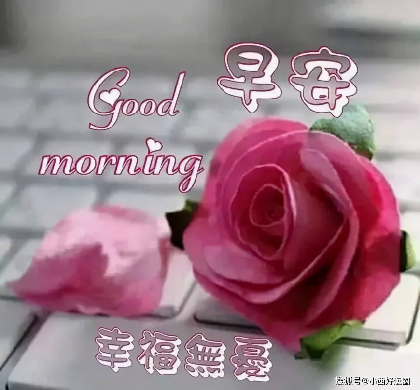 08f7e4ef176e459b93bb2dd5fb0cae21.jpeg