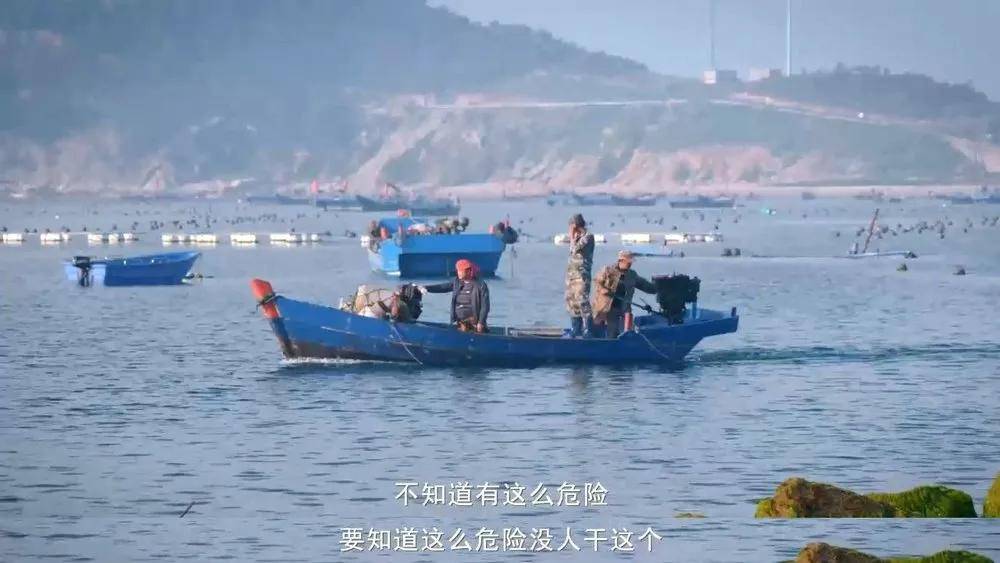 海底爬出什么 0a03c5a61dcb4cc383d15dfd43e45271.jpeg