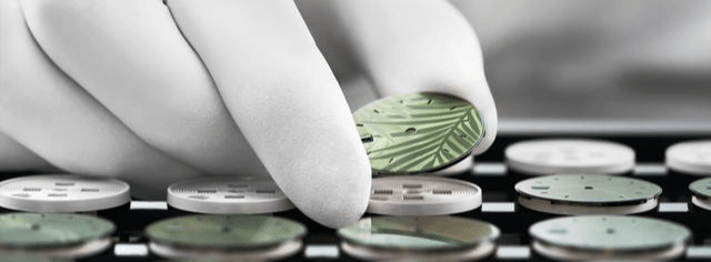 ����ʿ2021�¿�벻�룿