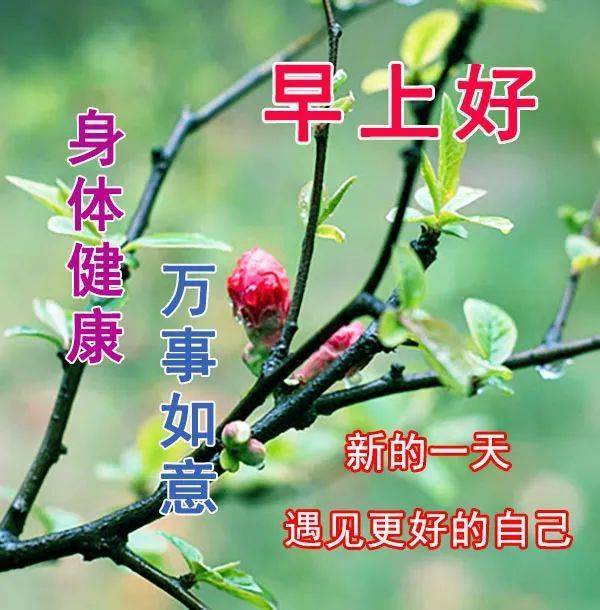 原创6张适合早上发朋友圈的句子早安经典问候语加油新的一天