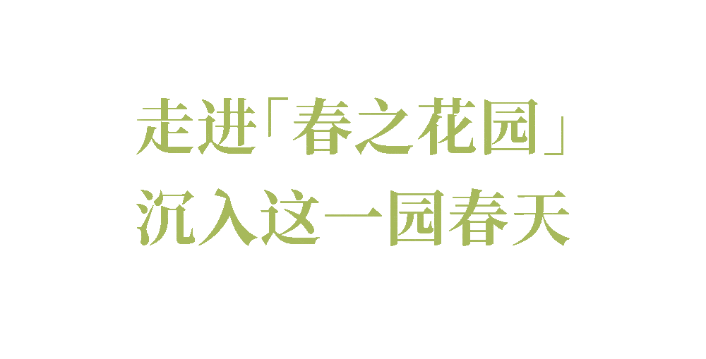 ��������ű���֮��԰����ס�������δ���Ĵ���