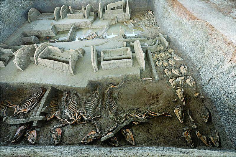 2020年度全国十大考古新发现揭晓周口夏代早期粮仓城入选