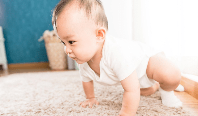 婴儿怎样学爬行 d60def1ed0a84e2ca1da160f7c2fce9e.png