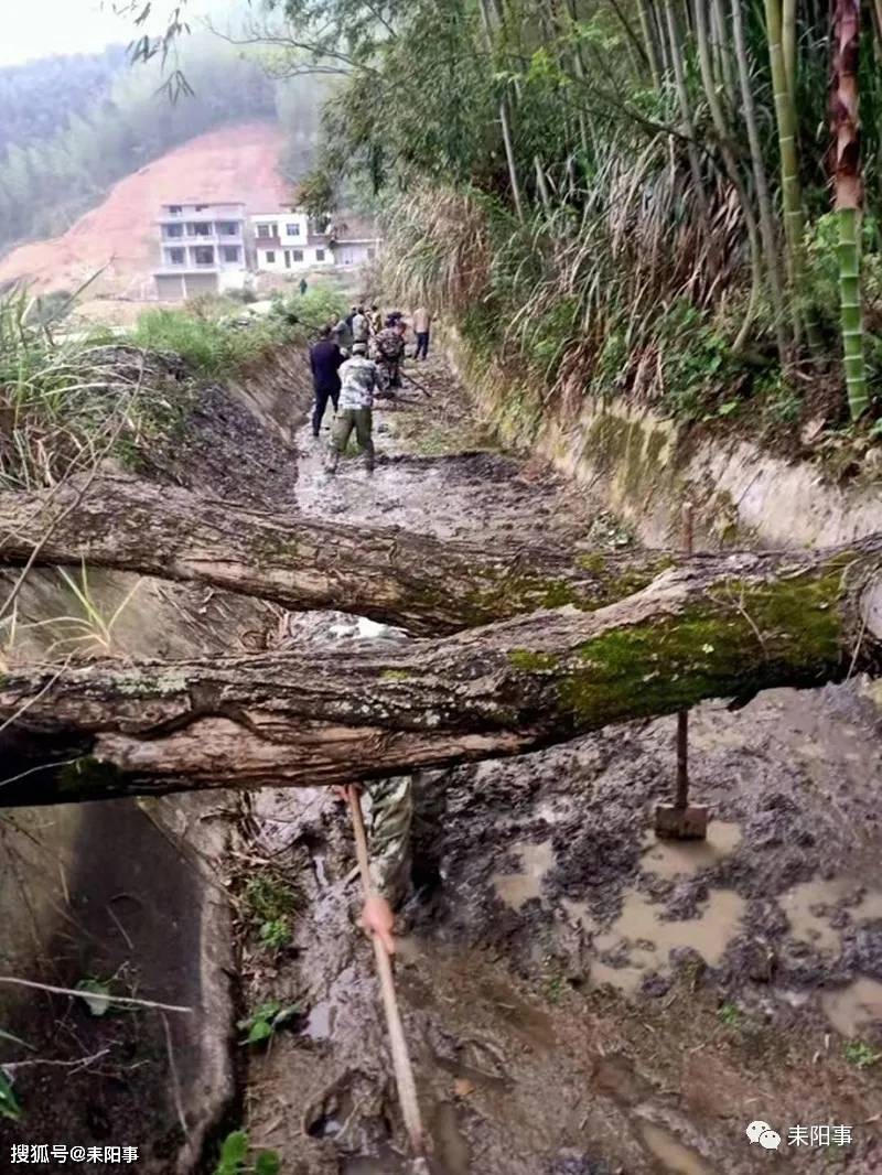 耒阳：关王塘水库灌区干渠清淤扫障让沃壤良田喝足春灌水？水库清淤机器人(2)