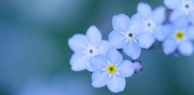 感性和理性并存的星座 感性的让人可怜 理性的让人可怕 因为