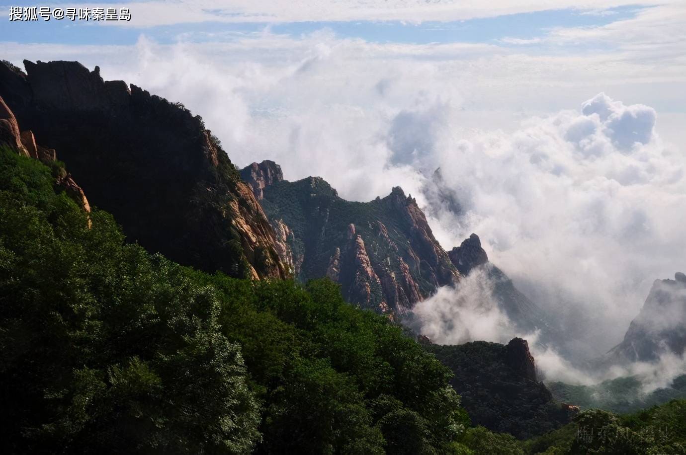 葡萄島到海邊怎麼能不趕海,初一十五落大潮,不一會就能挖到一大桶自己