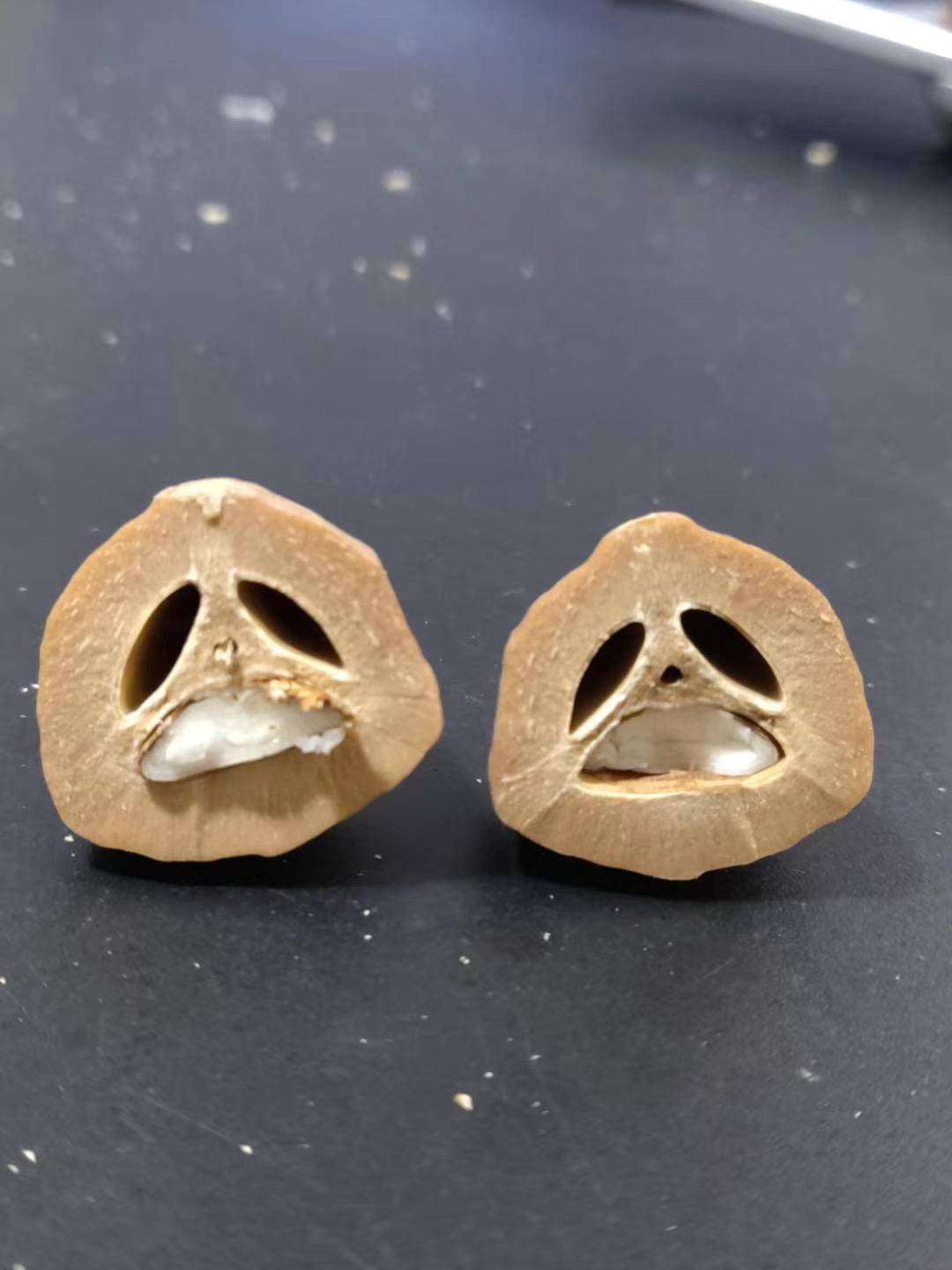橄榄核三花好还是四花好？娜姐教你到底该怎么选