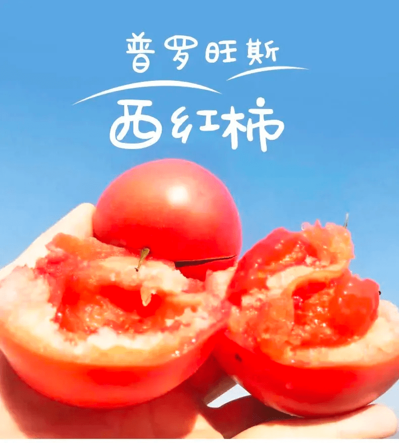 辰颐物语:普罗旺斯西红柿,一掰流汁,个个沙瓤,吃一个就上瘾