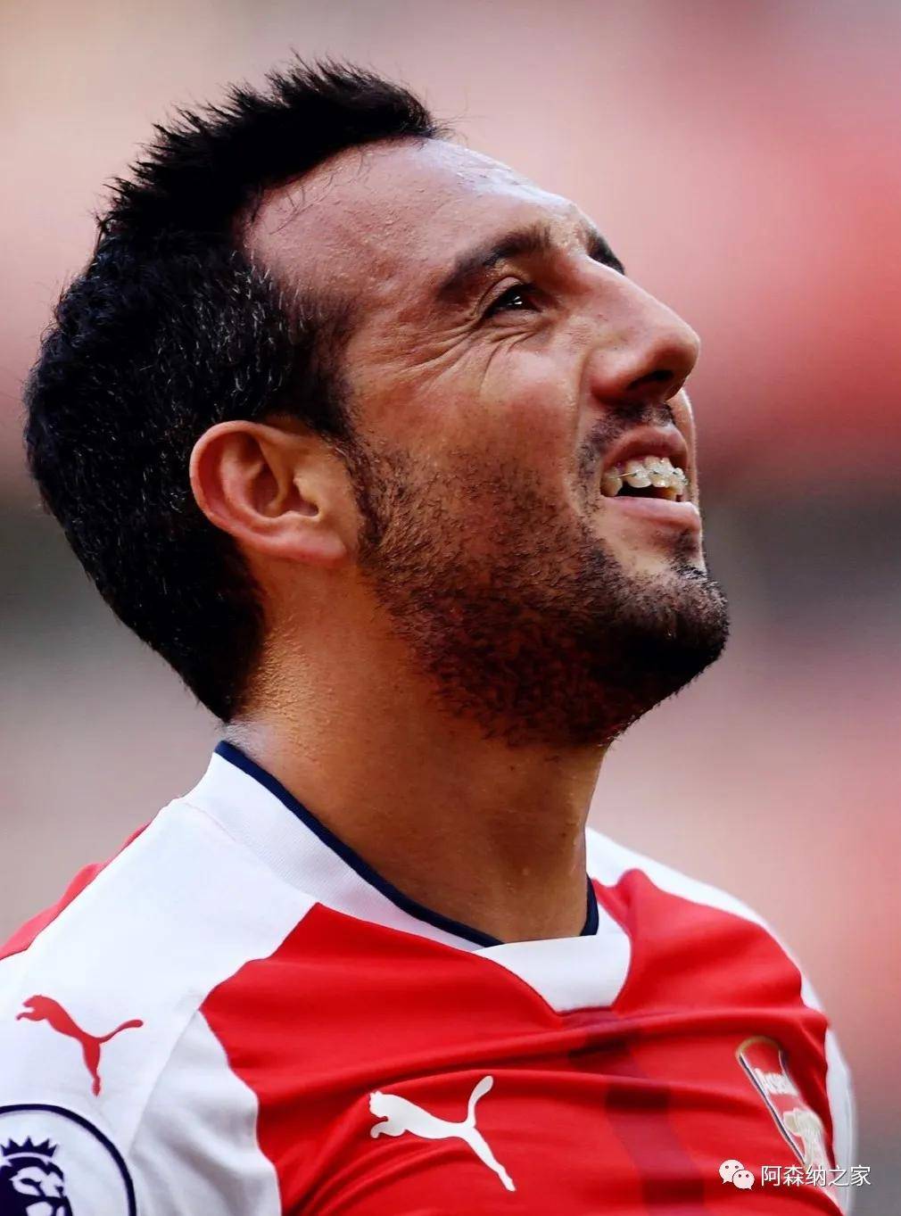 阿森纳之家|卡索拉壁纸分享