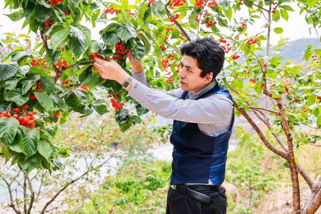 游人如织，泸定县第十一届红樱桃节圆满举行