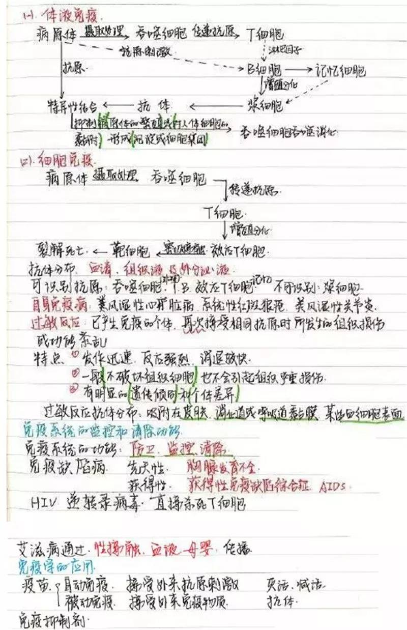 7f3151e61acf4b6c8b1cba40143df0b0.jpeg