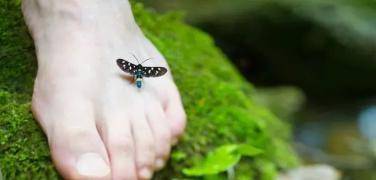 1eb7713c08cf43f581afcb1e177f8a91.jpeg