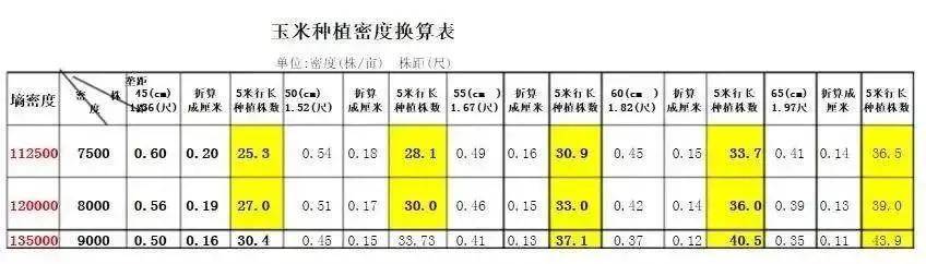 玉米株距行距图解图片