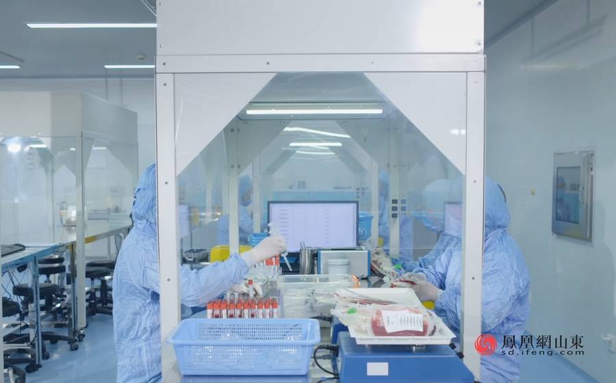 助力大健康战略实施山东省脐血库打造造血干细胞库产业高地