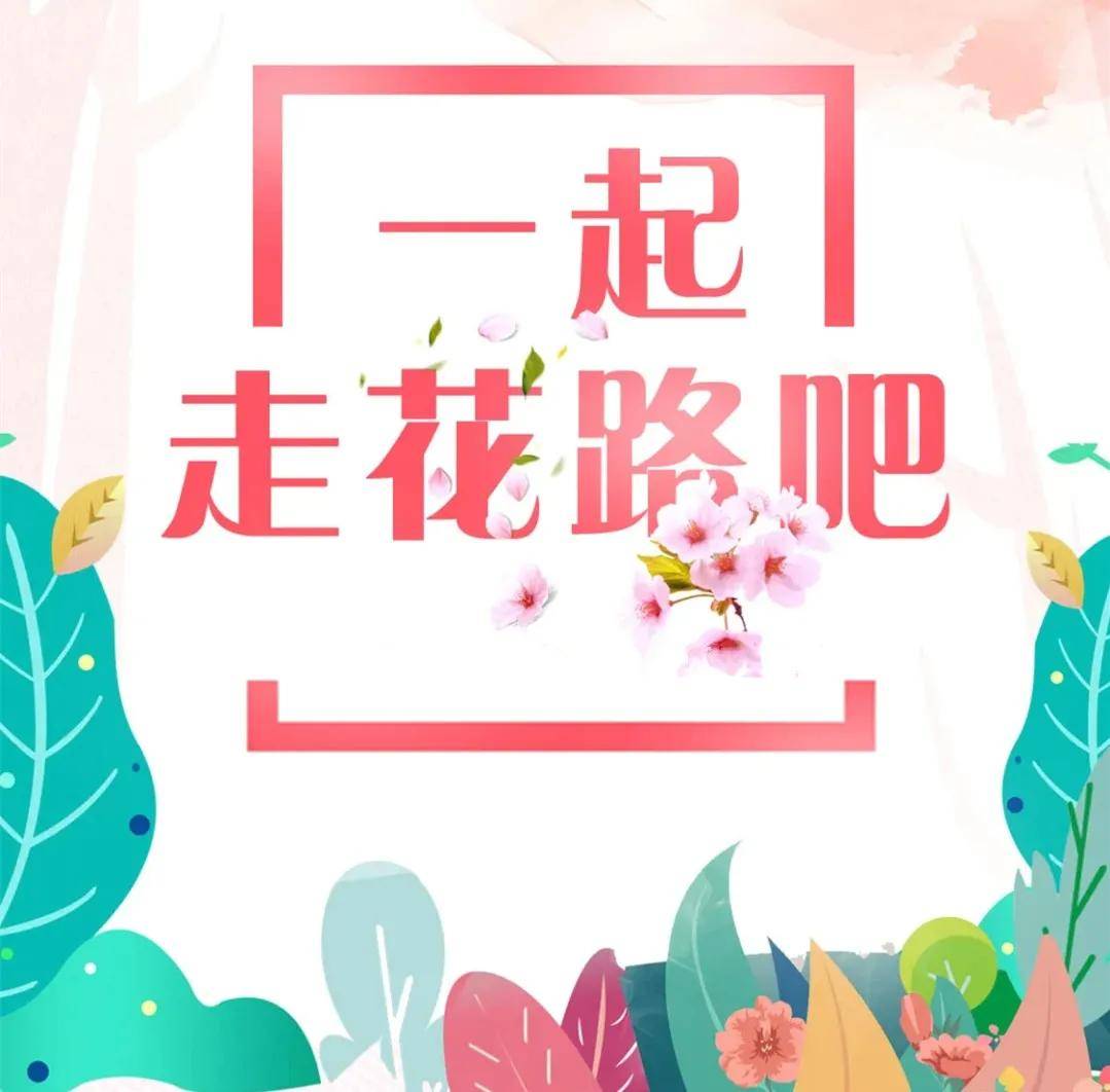 一起走花路吧狼牙山的郁金香颜值也太高了漫山遍野绚烂如霞