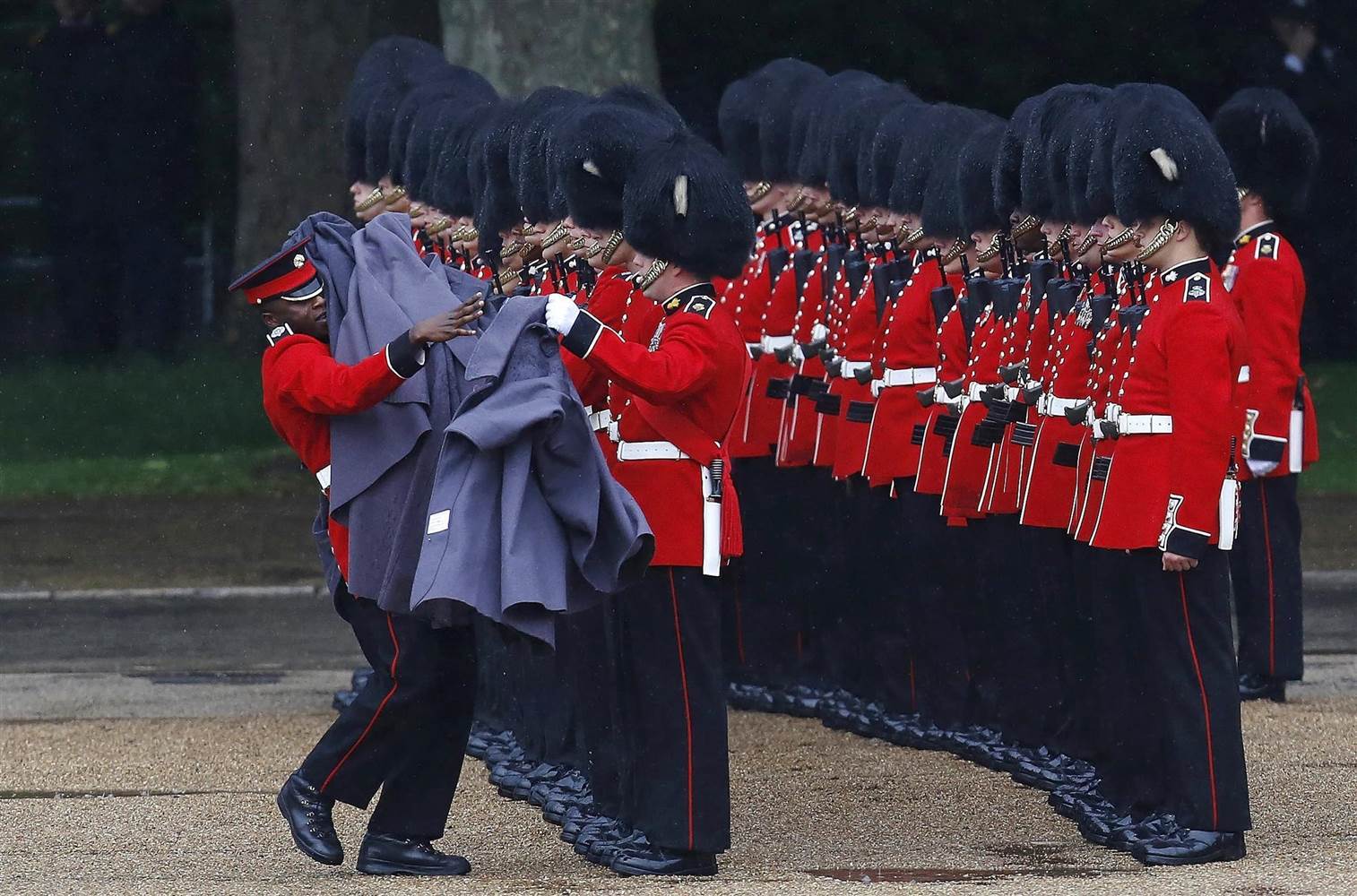 英国皇家掷弹兵近卫团,不只是女王的吉祥物,打伊拉克也能当先锋