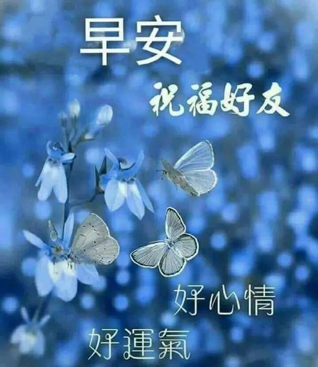 2021年4月21日星期三清晨早上好問候祝福動態表情圖片 週三最新早安