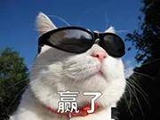 全奖|斩获7枚生物学全奖博士Offer背后，是我在科研中找到了自己的志趣！