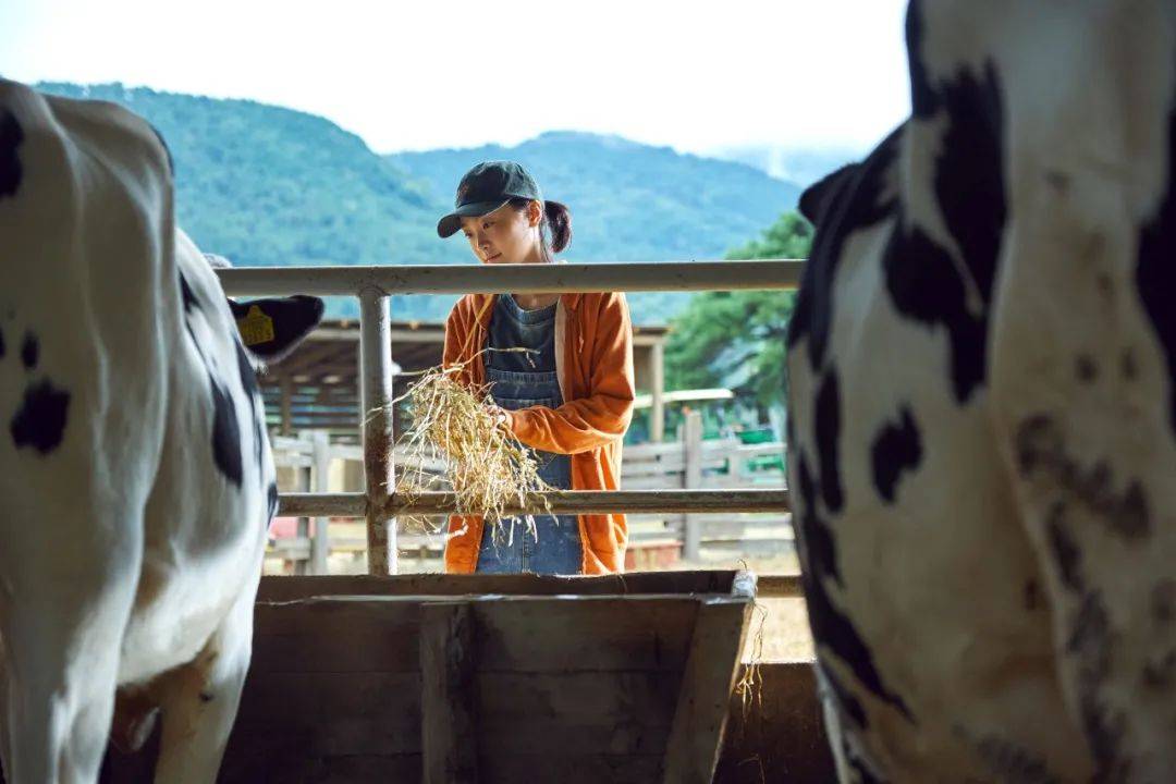 魔女 Vs 徐福 一场没有胜负的战争 闵基宪