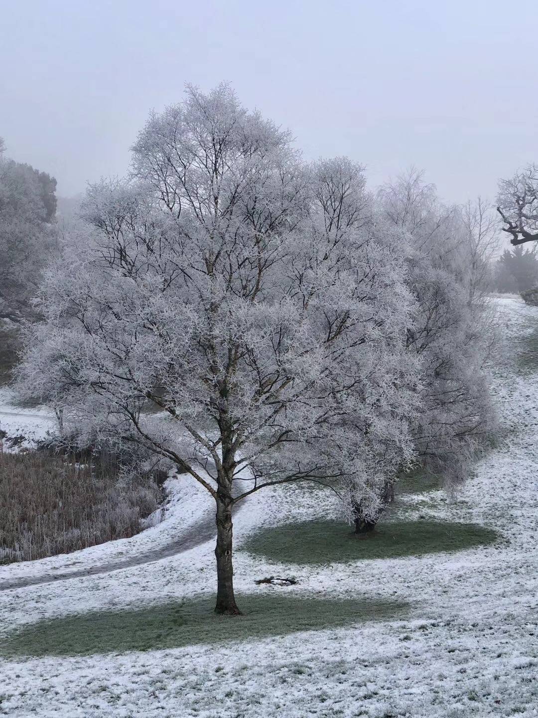 这些“异国情调”的英国景点，让你看到与众不同的英国！_搜狐网