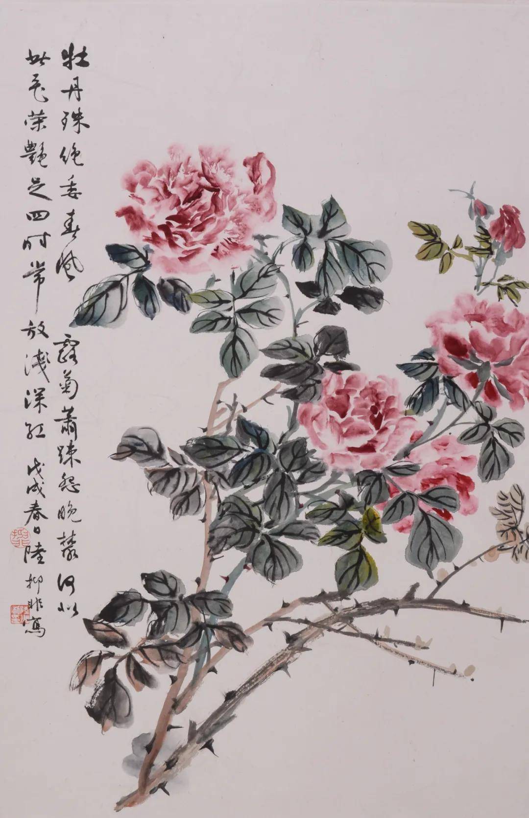 《月季花》 1958年