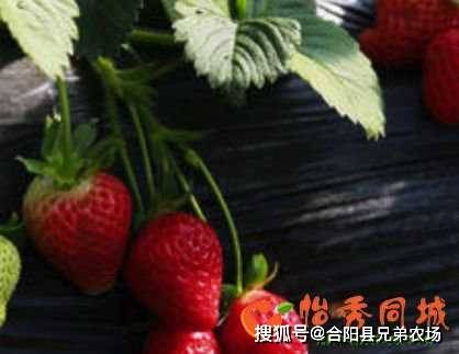 45faec430db143769fdaed4374fdbc74.jpeg