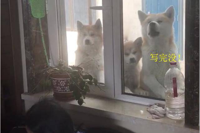 51dac1c4a62a4480a9d4db73a5f4a6f8.jpeg