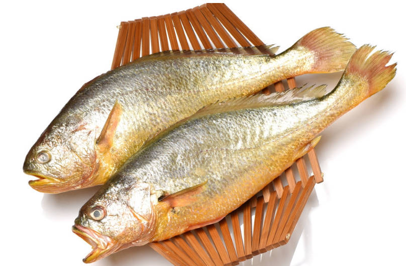 【威海运都】☆海识 | 一起来认识大头宝和大小黄花鱼