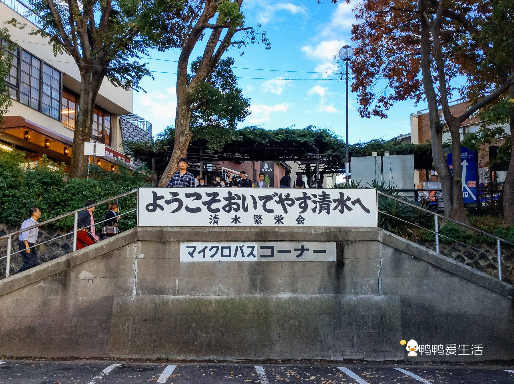 日本京都最古老寺庙，主堂仅由139根柱子支撑，春秋花开美不胜收_手机搜狐网