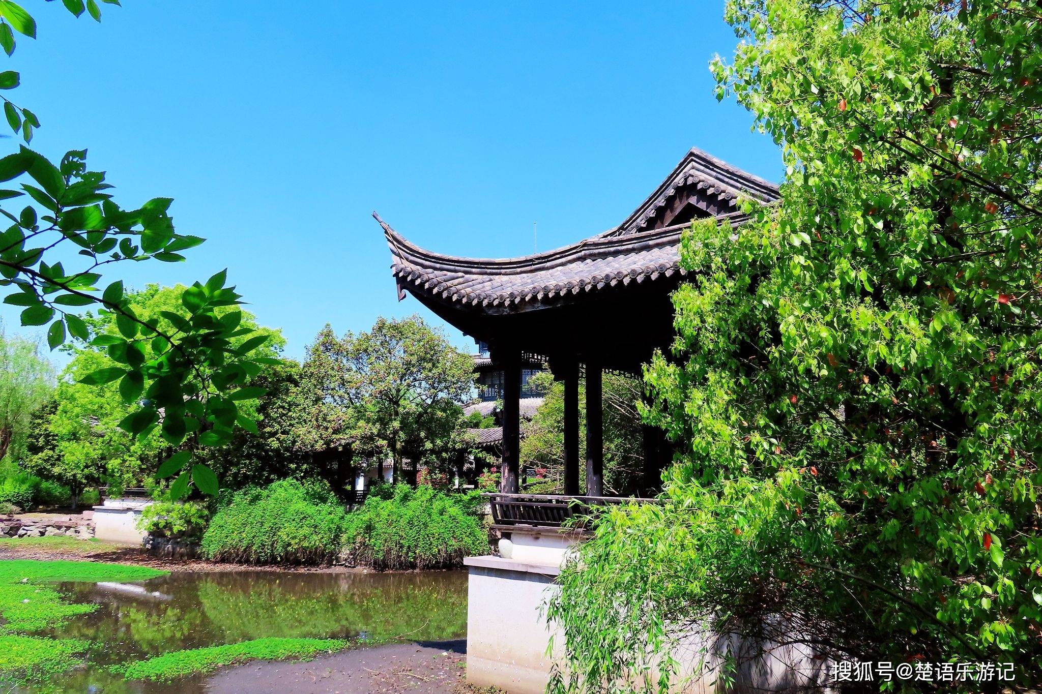 慈城有个被忽略的景点,像一个小"绿肺",林中藏着一个美丽书房_公园