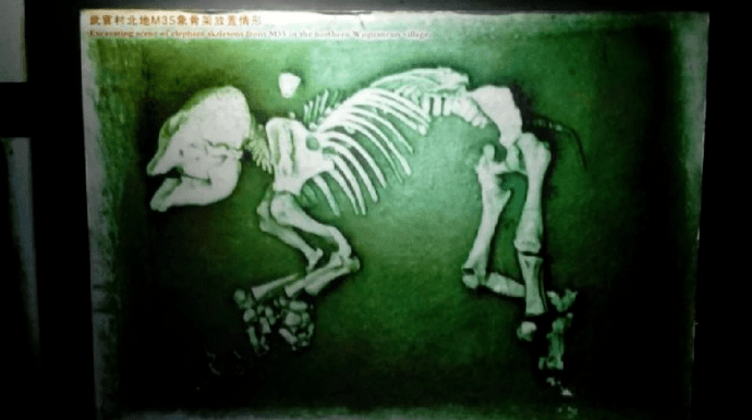 5d320b4ef428434e9a7cdd31b04771f9.png