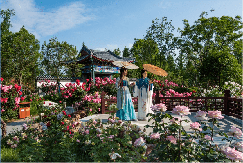 南陽世界月季大觀園正式開園啦,裡面的精彩超乎想象