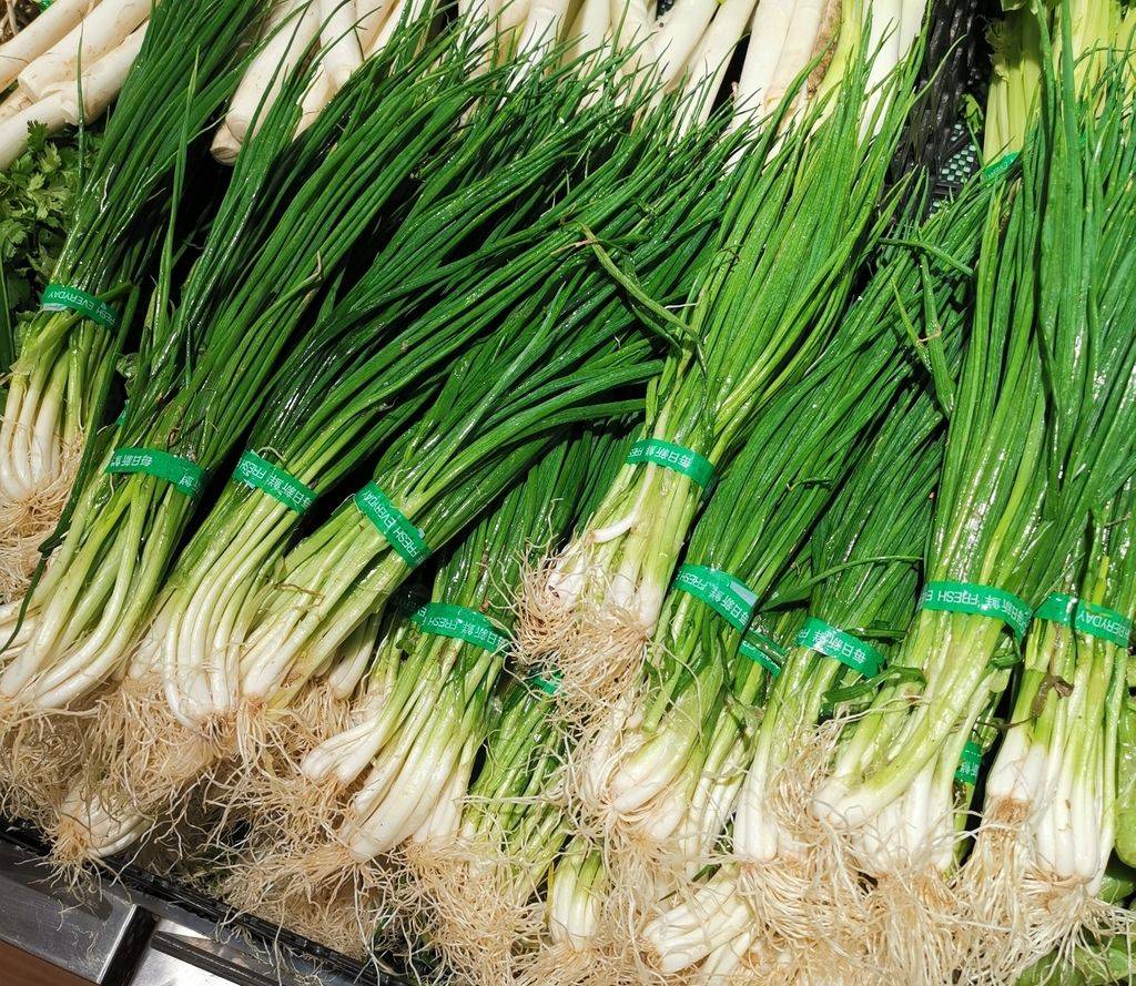 细香葱-中国蔬菜作物-图片