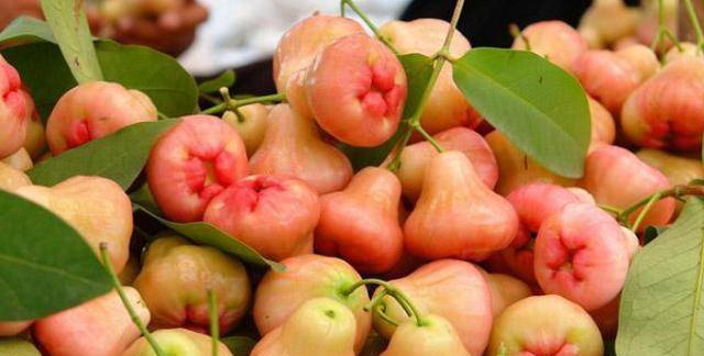 一年结4次果,北方卖30元一斤吃不起,在南方掉一地却没人去捡_莲雾