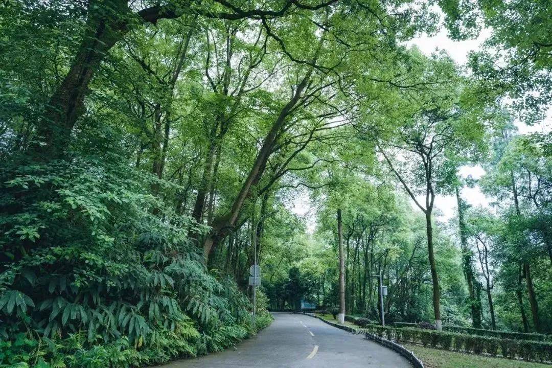 历久弥新的东方康奈尔大学你绝对不能错过
