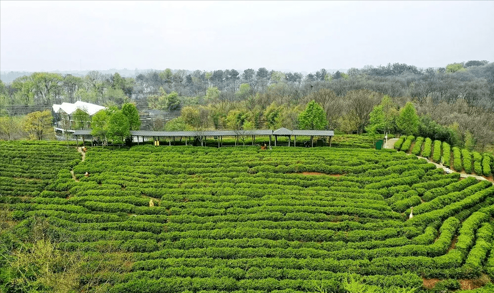 南湾湖风景区以南湾水库为中心,汇集森林,岛屿,山峦,湖泊,池潭,瀑布等