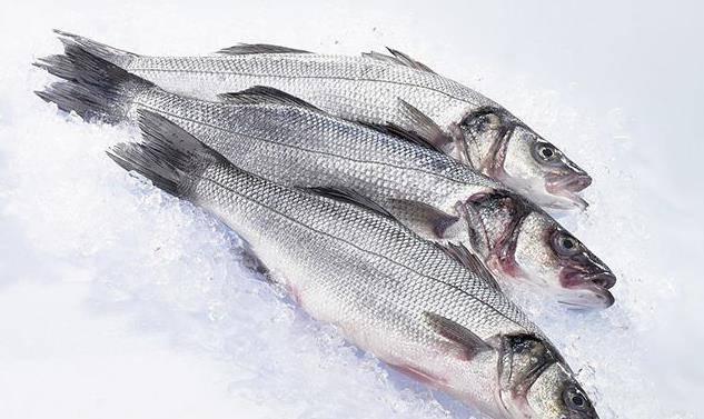 几个月可以吃鱼肉 11a9a8c487874f429b5b548634e55ce6.jpeg