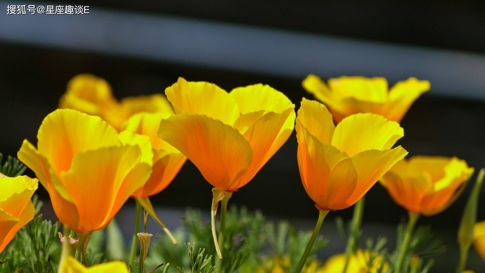 4月28日星座运势 金牛提高警惕 天蝎贵人扶持 摩羯迎接挑战 工作