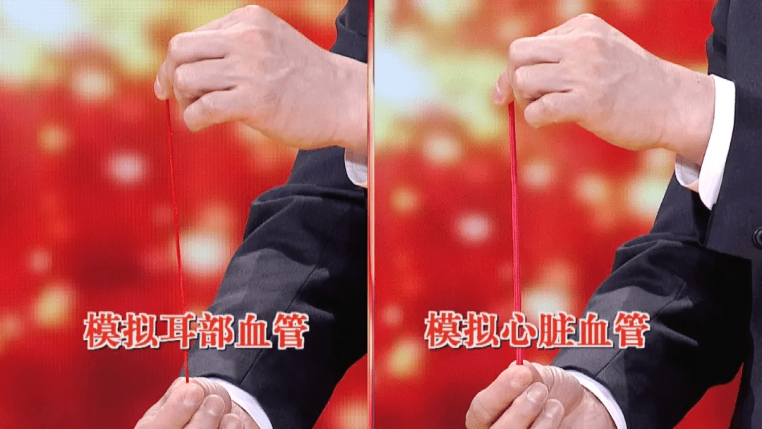 0087ba66a71146d09ec545a3a0b567f2.png