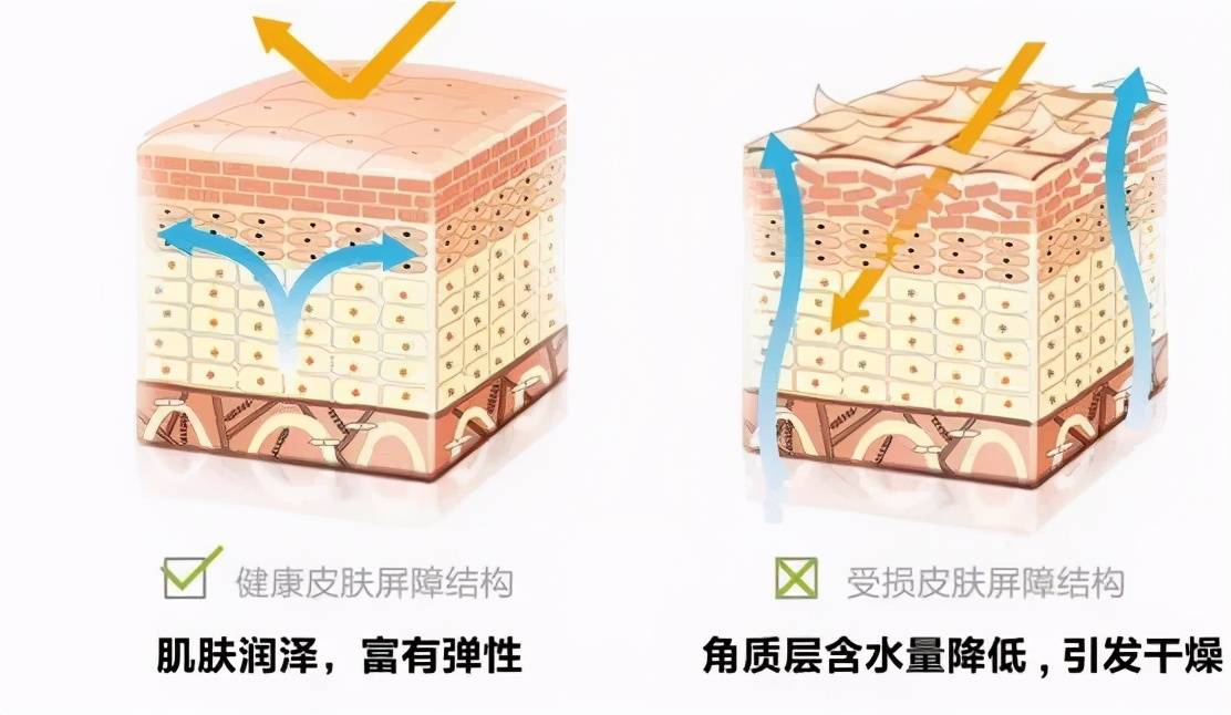 【未来医生】不想变黑,除了防晒,还应该这样做
一 我们为什么会变黑?二 想要不变黑需要注意什么?