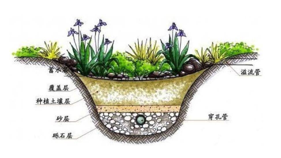 使用雨水收集系统的雨水花园的妙处