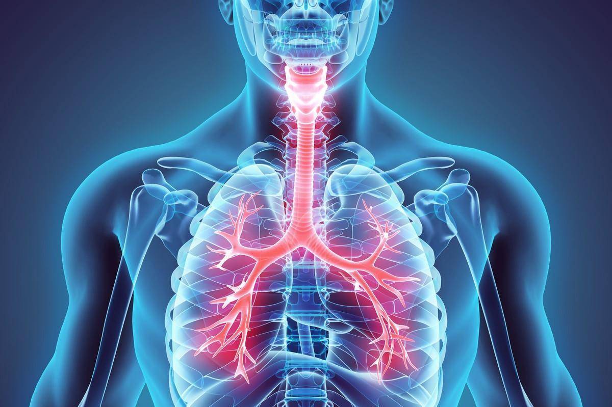 a71d2db67fb041a59c6c8638f9706927.jpeg
