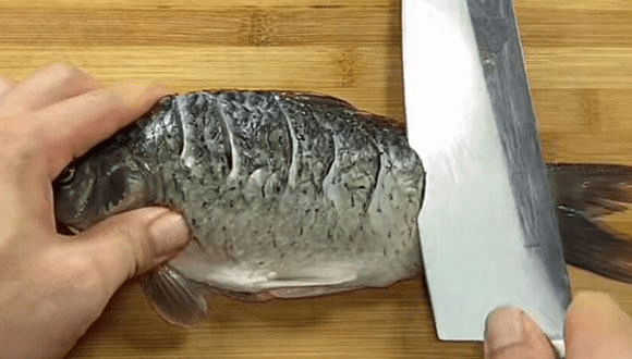 这里顺便说一下,鱼鳞也可以吃的,可以将它拌面油炸,或者做成鱼鳞冻