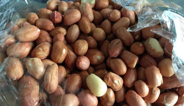 e9979329aaf6459abc41818c46ad2f61.jpeg