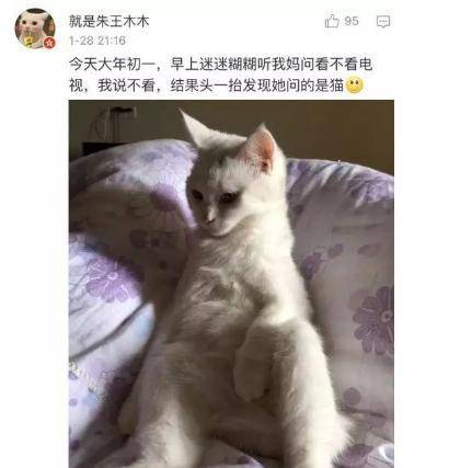 44e6590fffcb449883dd2a4e45eccb05.jpeg