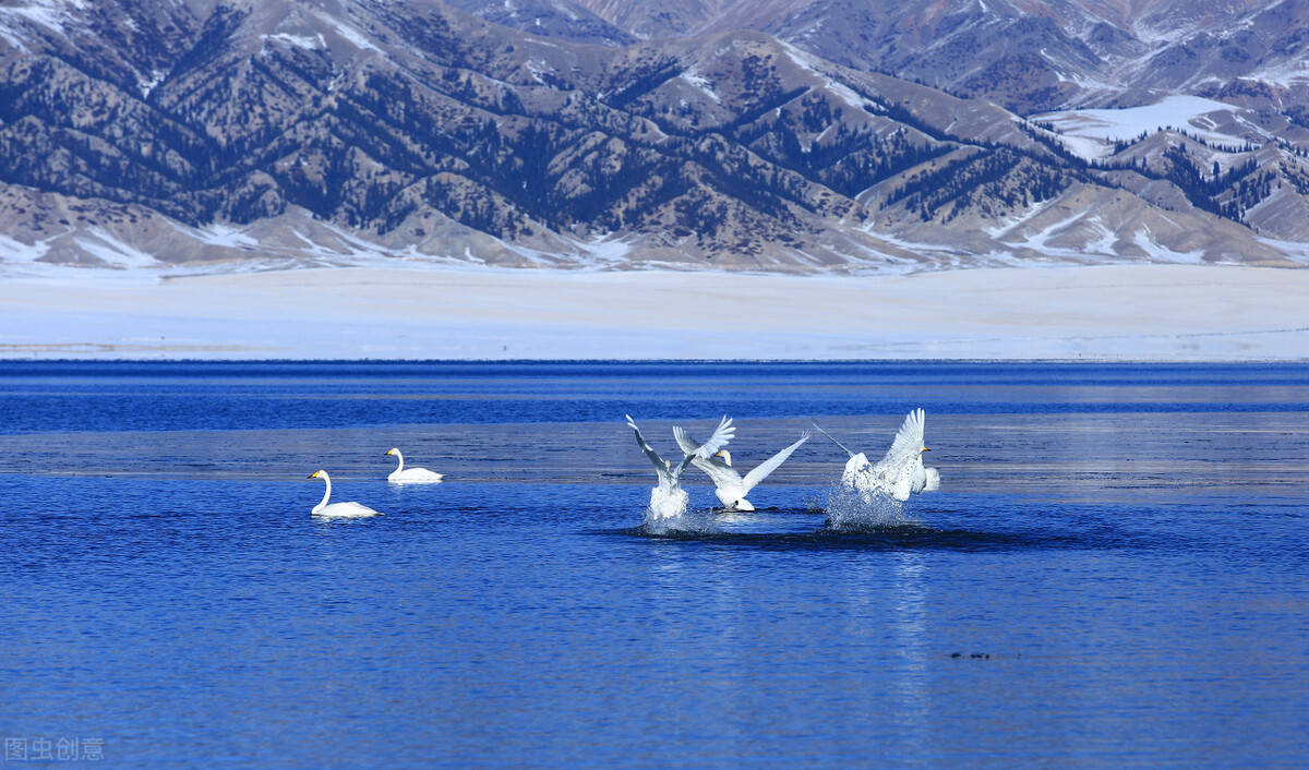 赛里木湖背靠雪山,湖边是广阔的草原,湖水清澈蔚蓝,因风景绝美一直是